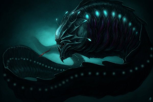 Kraken рабочее зеркало onion
